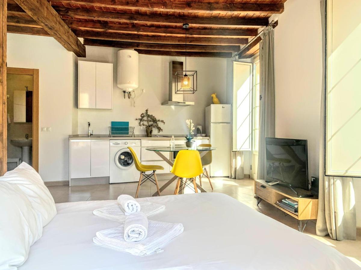 Homely Malaga Loft Gaona Centro المظهر الخارجي الصورة